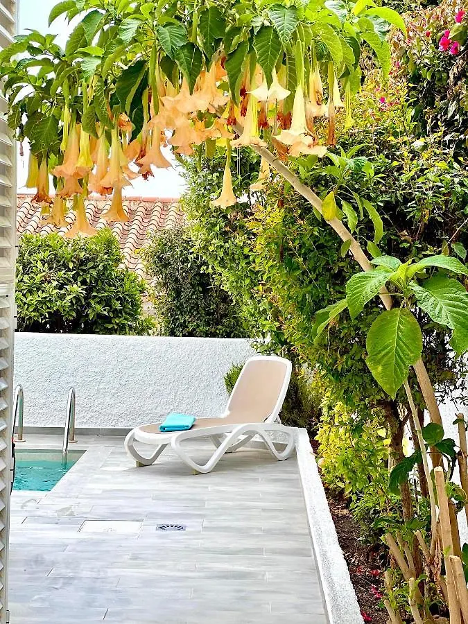 הוילה נרחה Wonderful House By The Sea